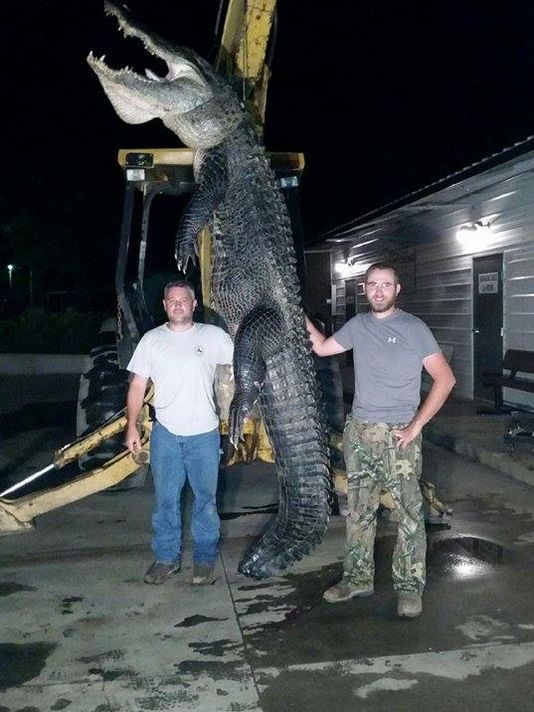 Gator season begins with fair catches