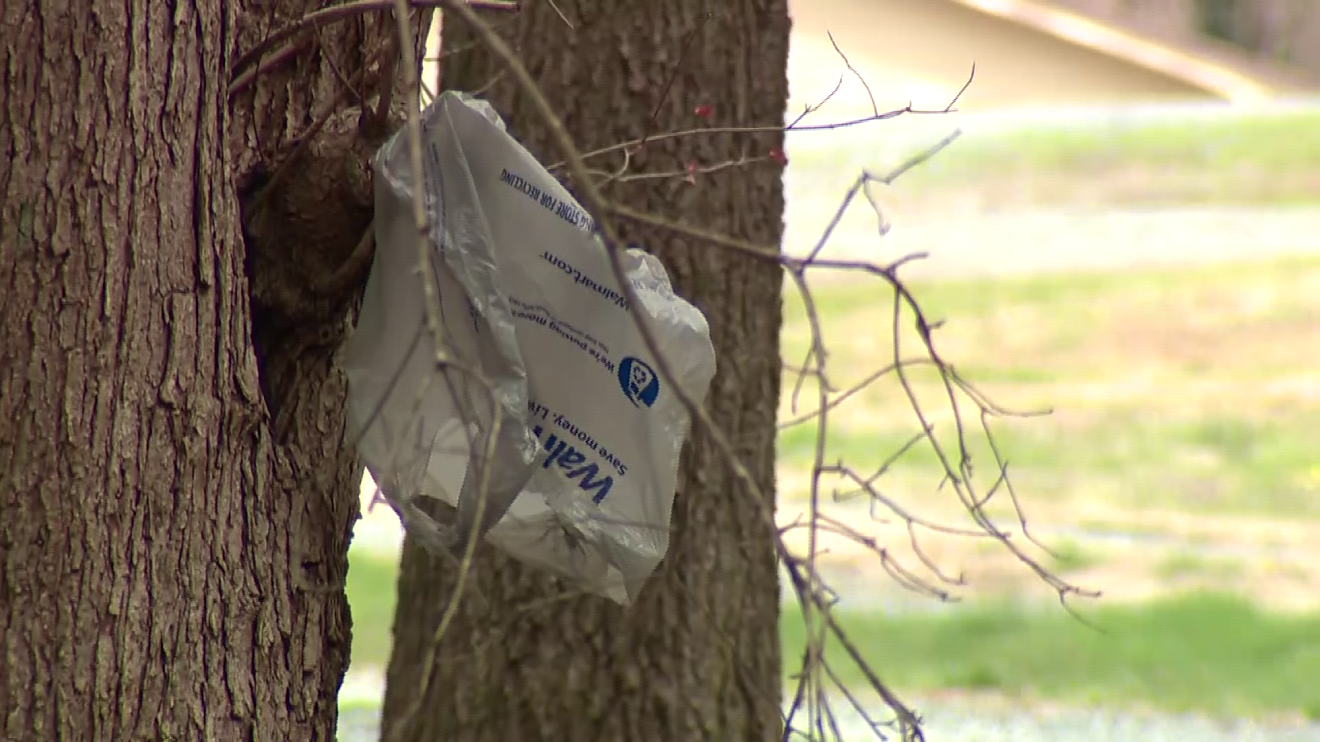 Neighbors claim dog thieves are marking their homes