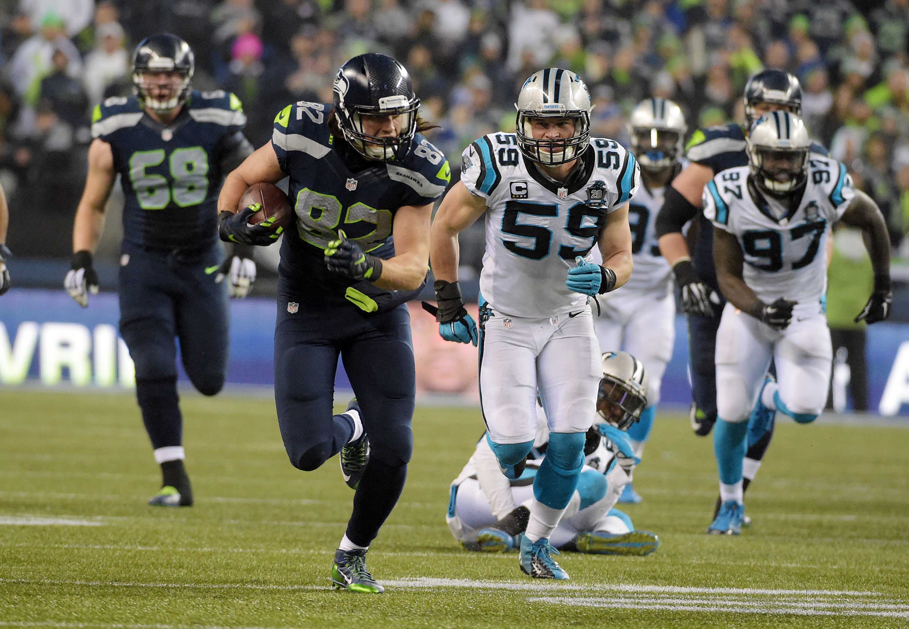 Panthers vs. Seahawks  Divisional Round (2014 NFL Season