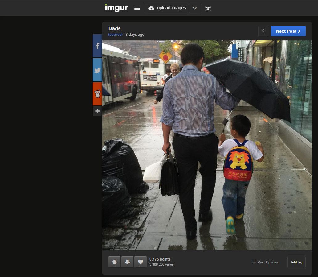Picture of 'umbrella dad' goes viral