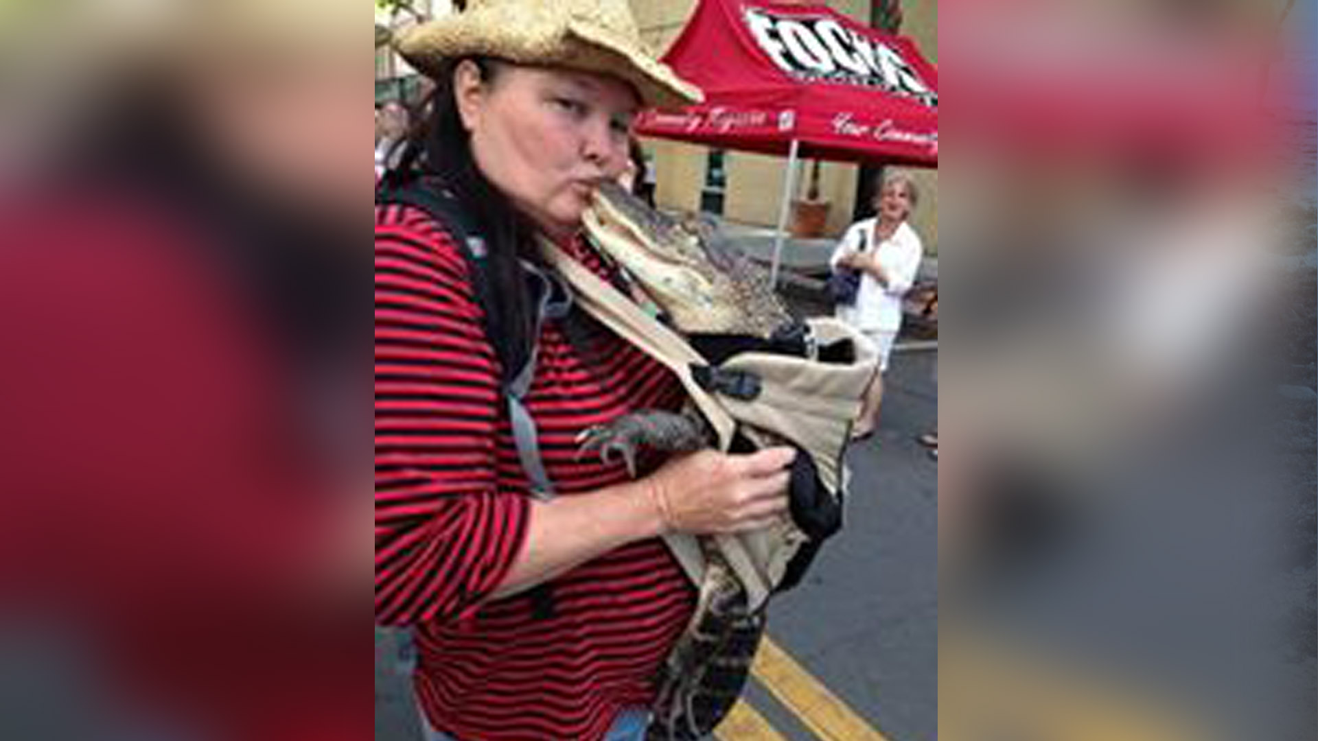 Florida woman fights to keep pet alligator 'Rambo' at home