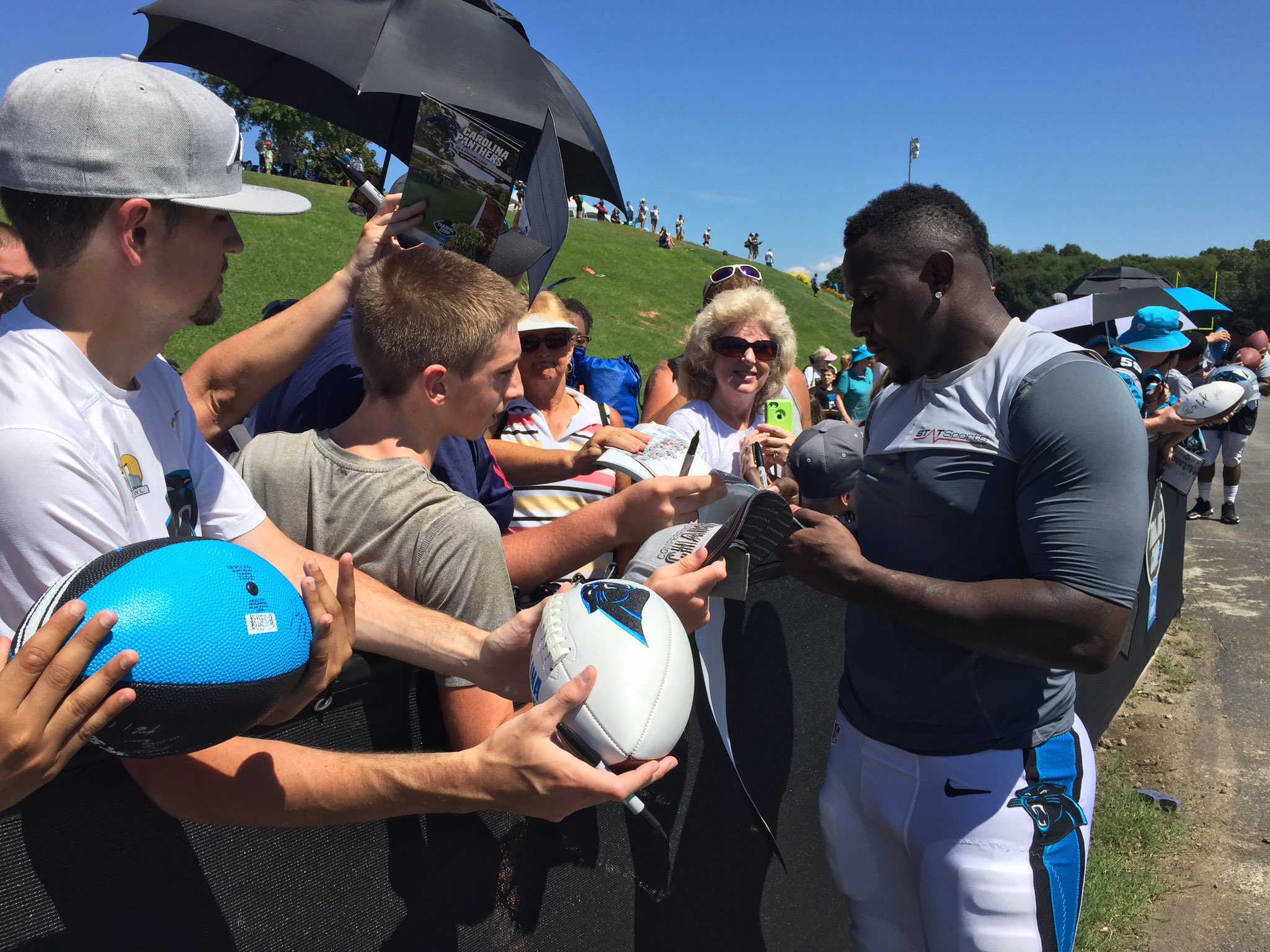 Merch sales, camp crowds show Carolina Panthers' popularity