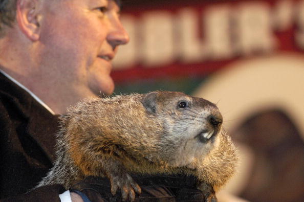 groundhog day weather report groundhog day is thursday will phil see his shadow groundhog day weather report groundhog day is thursday will phil see his shadow