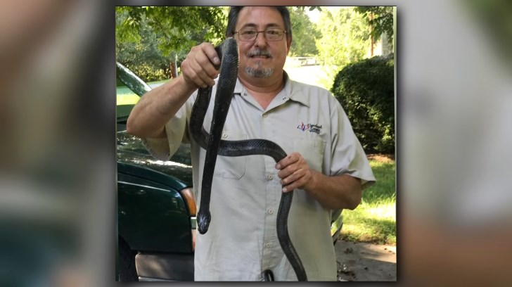 NC man pulls 6-foot snake from neighbor's toilet