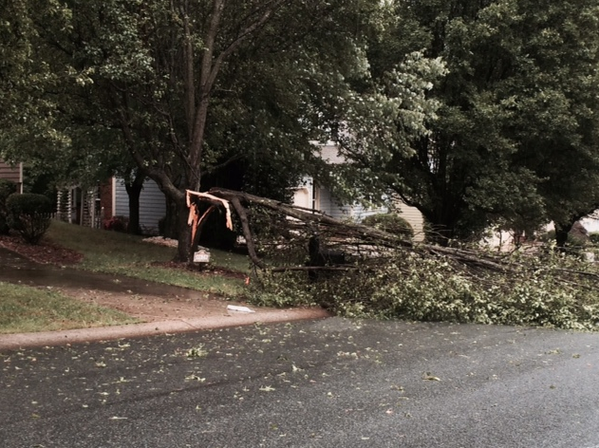 Charlotte area feels effect of first rainfall in 44 days | wcnc.com